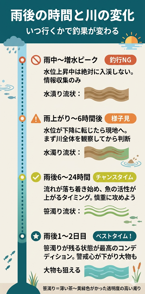 雨後の時間と川の変化
