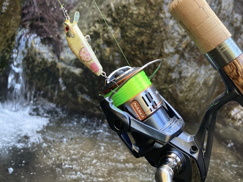 26ナスキー C2000SHG